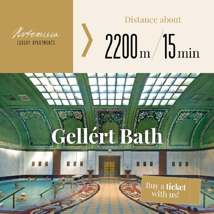 Artemisia Luxury Azraq Apartment *